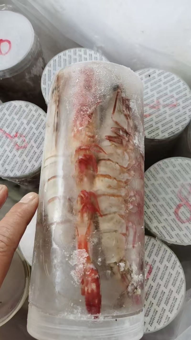 黑虎虾