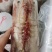 黑虎虾