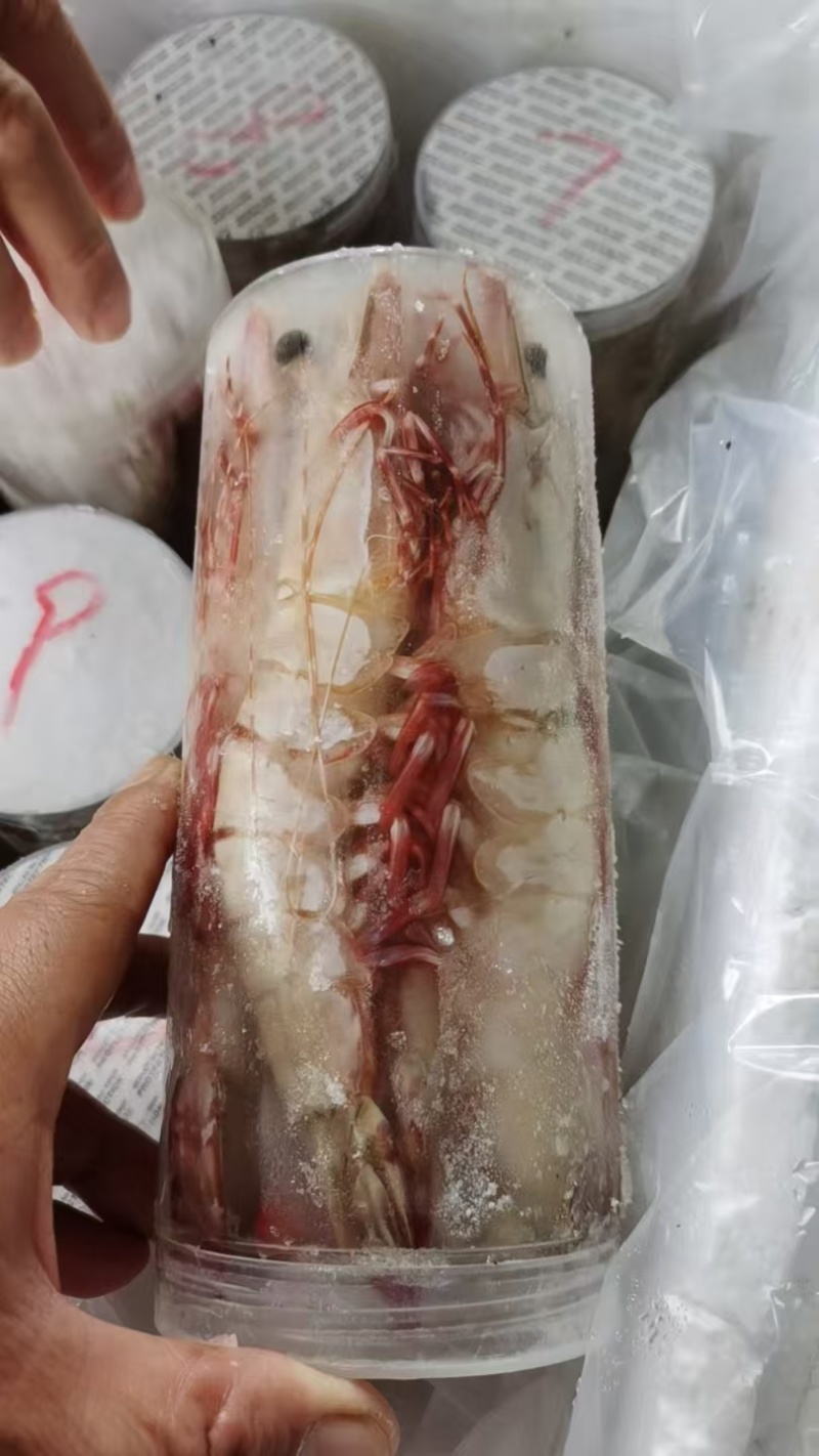 黑虎虾