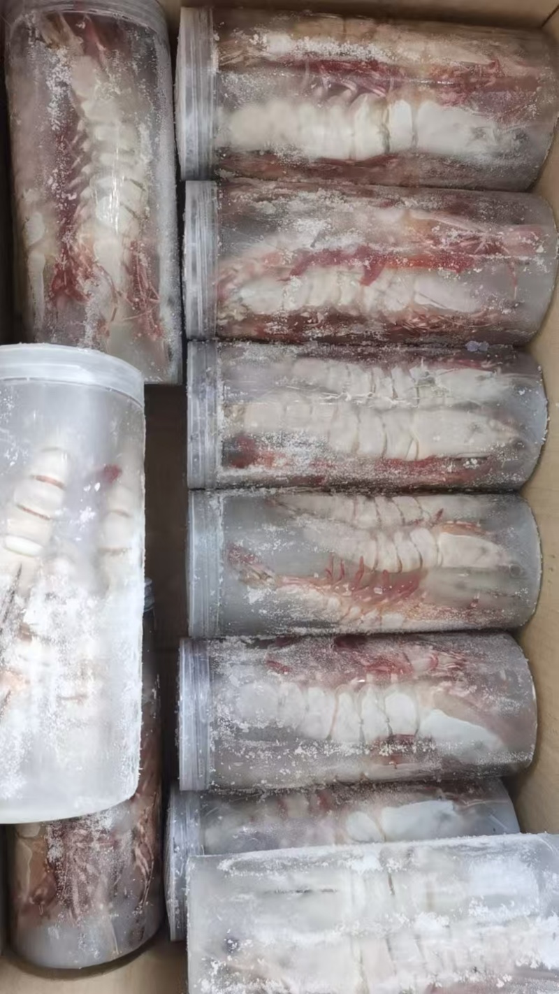 黑虎虾