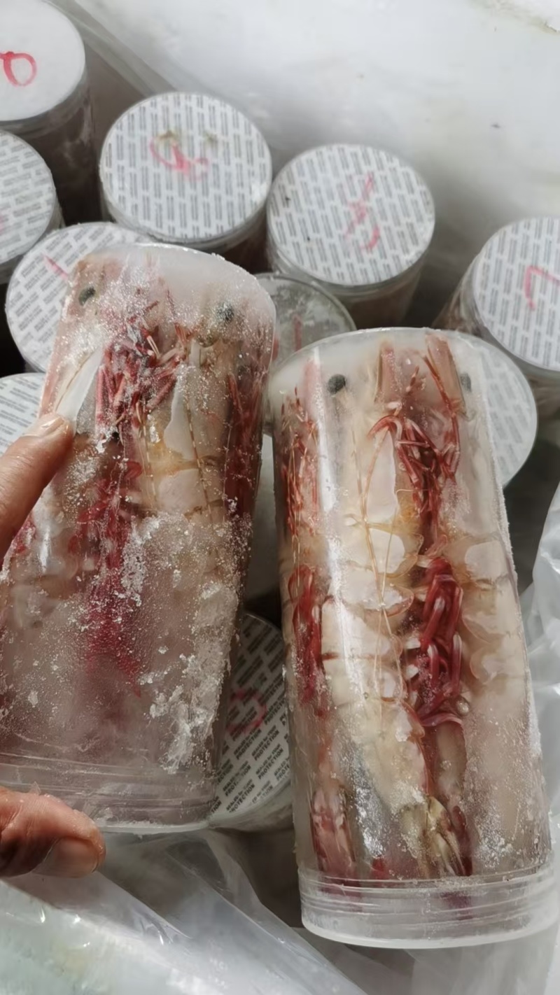 黑虎虾