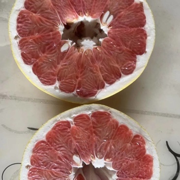 零污染村的红芯蜀柚