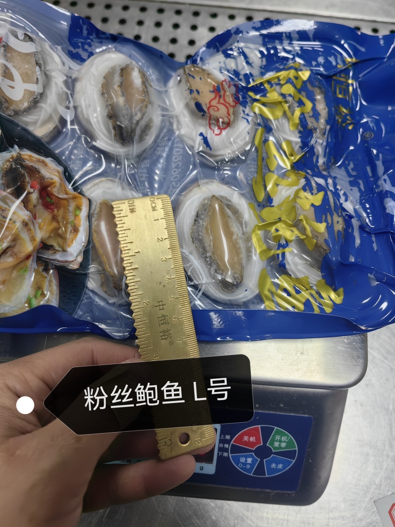 粉丝鲍鱼【鲍鱼工厂】酒店食材冻品扇贝粉丝烧烤食材冻品批发