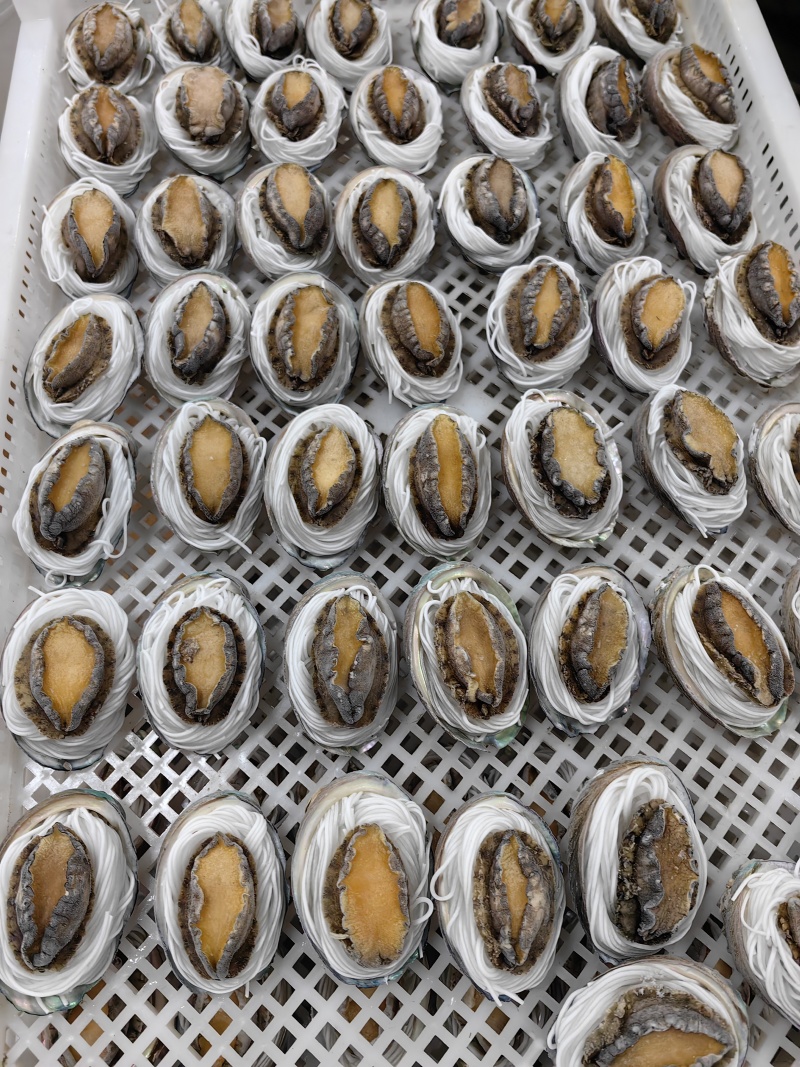 粉丝鲍鱼【鲍鱼工厂】酒店食材冻品扇贝粉丝烧烤食材冻品批发