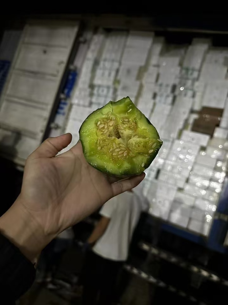 辽宁北镇绿宝甜瓜大量上市专业一件带发供应链对接电商