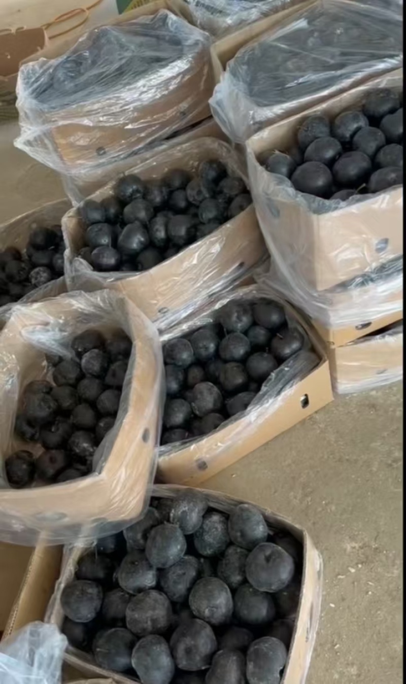 香水梨冻梨常年稳定现货电商合作联系我量大可谈