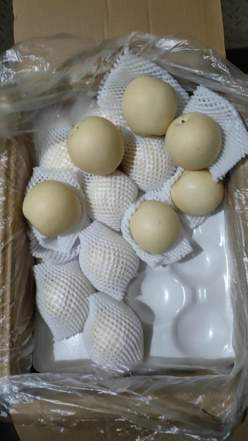黄冠梨