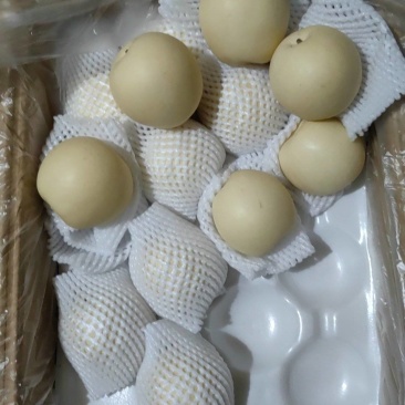 黄冠梨