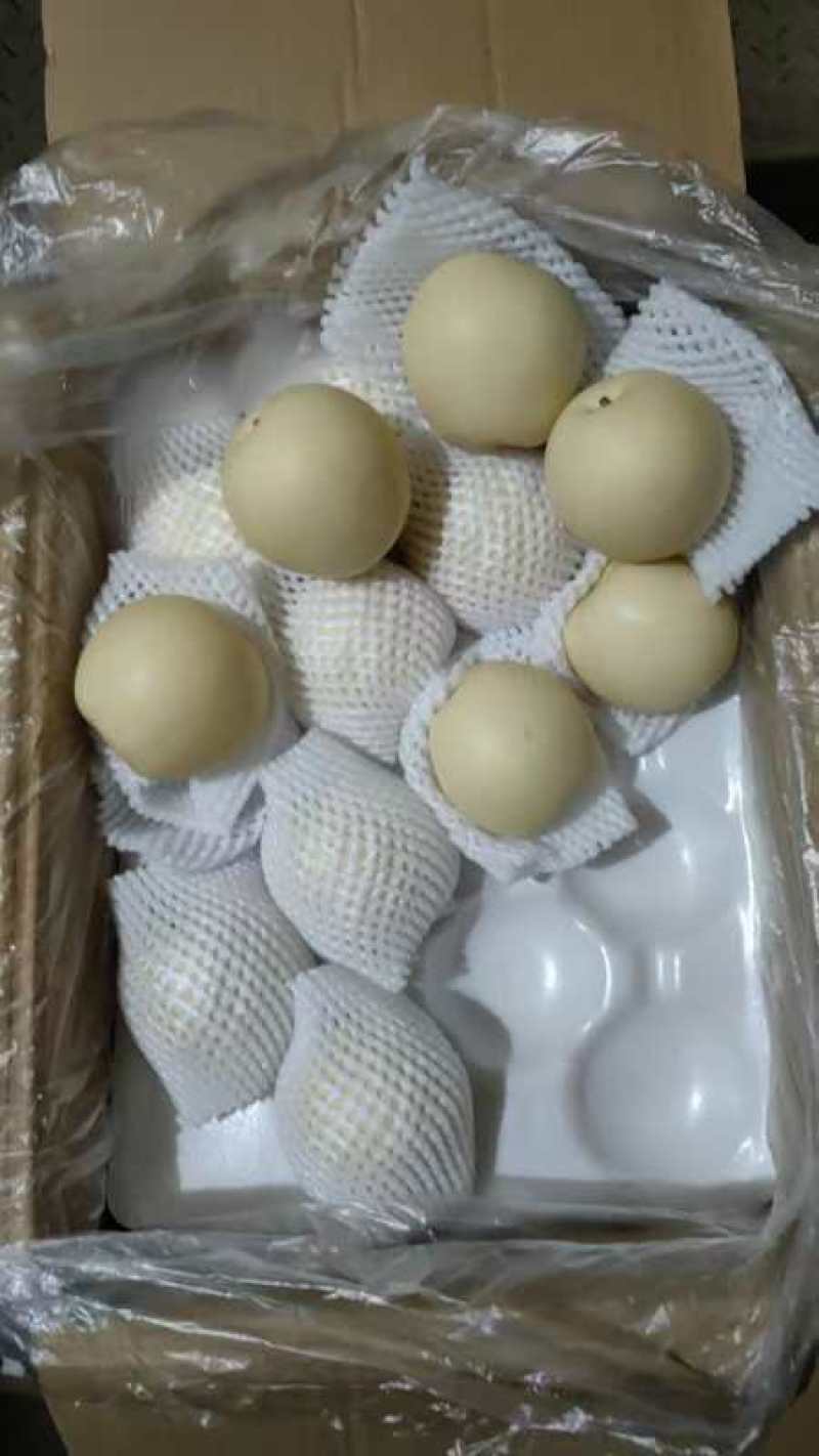 黄冠梨