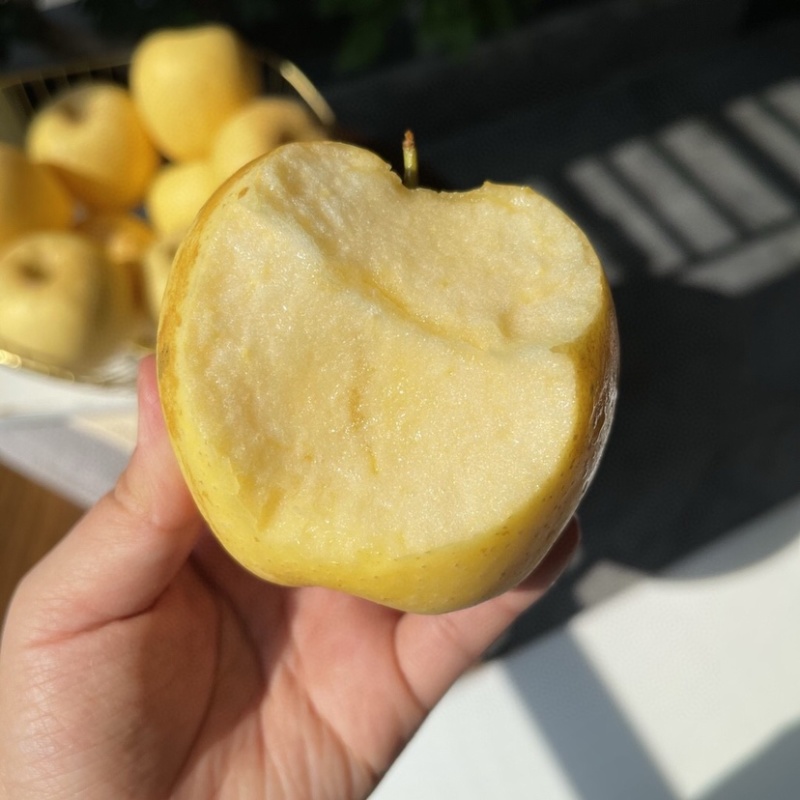 黄金维纳斯自家的非常好吃爽脆多汁有需要的可以联系