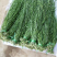 【厂家直发】贡菜干邳州贡菜一级二级三级通货规格全欢迎联系