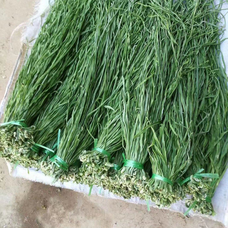 【厂家直发】贡菜干邳州贡菜一级二级三级通货规格全欢迎联系