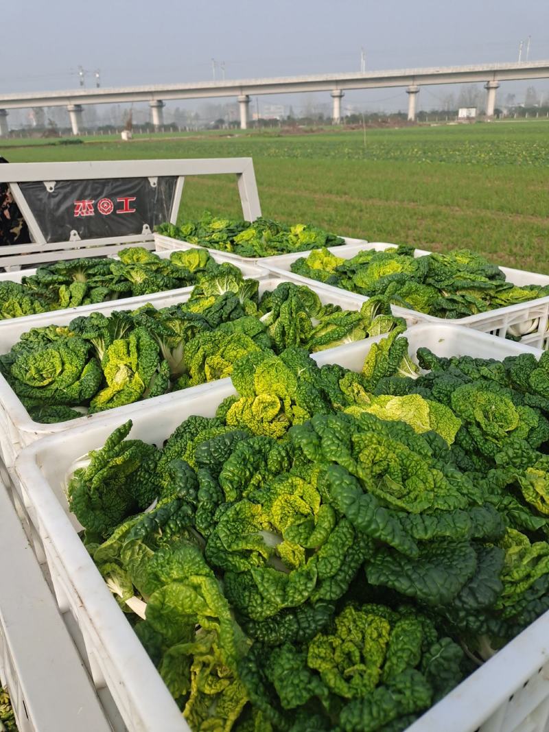 自家种植源头供应