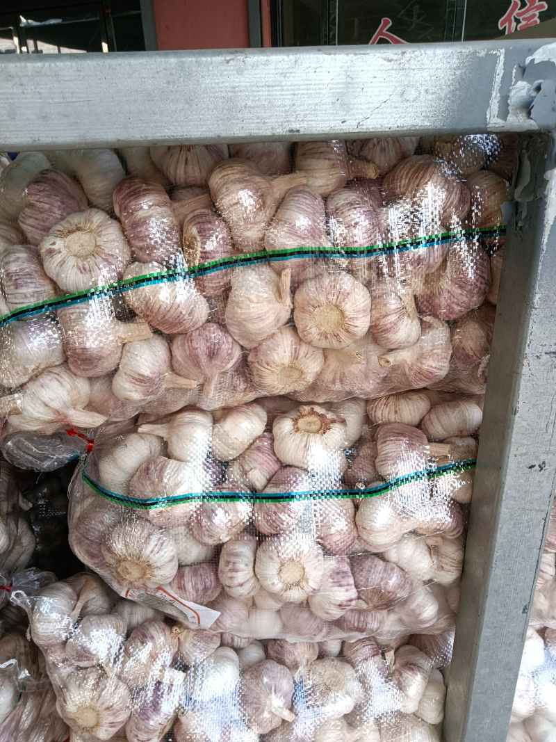 江苏邳州大蒜紫皮白皮精品货通货剥皮蒜米按需供应全国发货