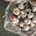 江苏邳州大蒜紫皮白皮精品货通货剥皮蒜米按需供应全国发货