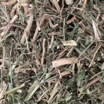 冰糖草【包邮】三斤起发货可批量可零售量大从优