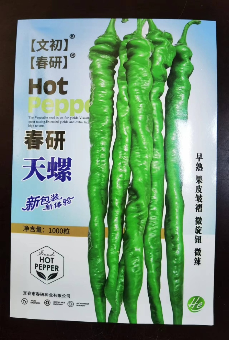 文初春研天螺螺丝椒种子早熟辣椒种子杂交味辣浓香种植户大田