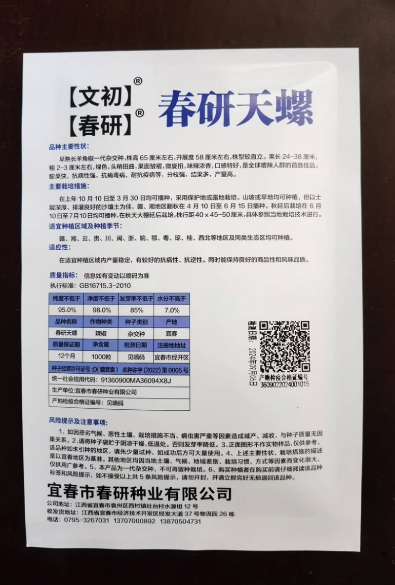 文初春研天螺螺丝椒种子早熟辣椒种子杂交味辣浓香种植户大田