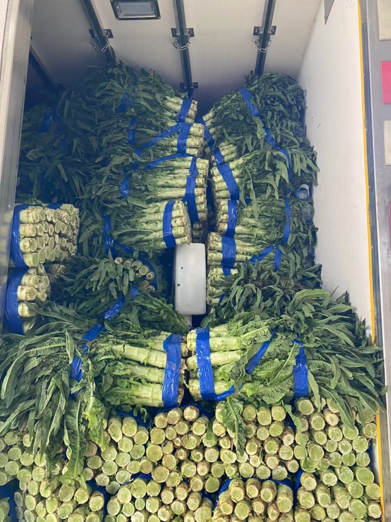 新野莴笋产地诚信为本常年供应各种季节性蔬菜