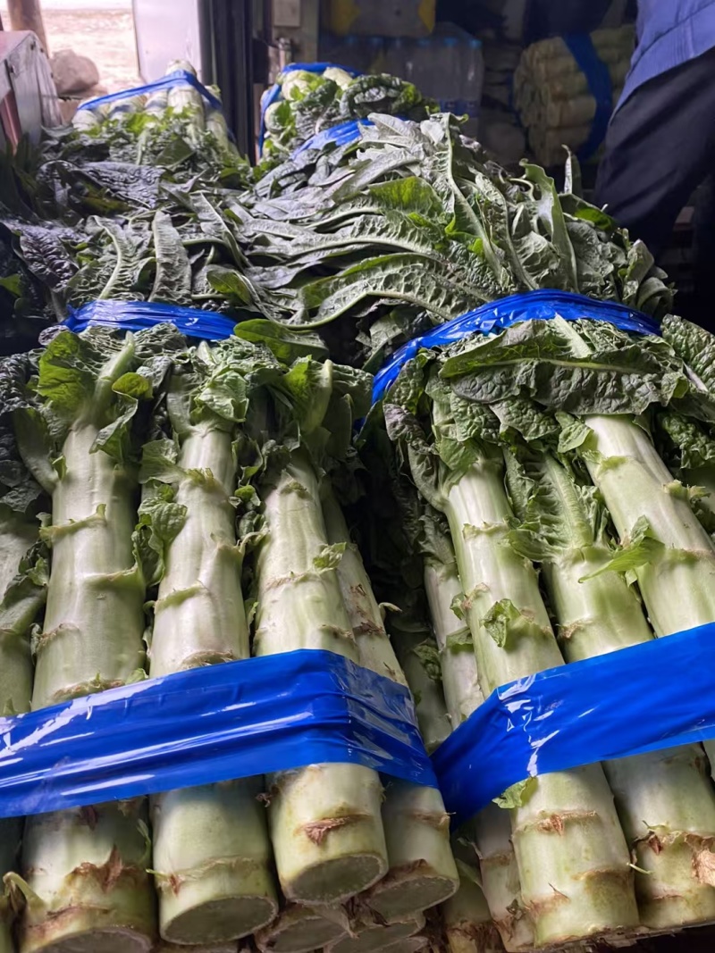 新野莴笋产地诚信为本常年供应各种季节性蔬菜