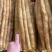 精品小白嘴白山药水洗网袋货箱货产地直发按需包装量大优惠