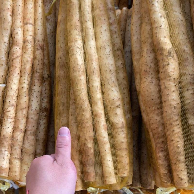 精品小白嘴白山药水洗网袋货箱货产地直发按需包装量大优惠