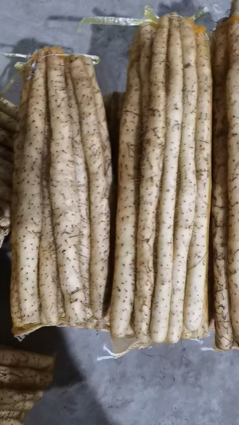 精品小白嘴白山药水洗网袋货箱货产地直发按需包装量大优惠