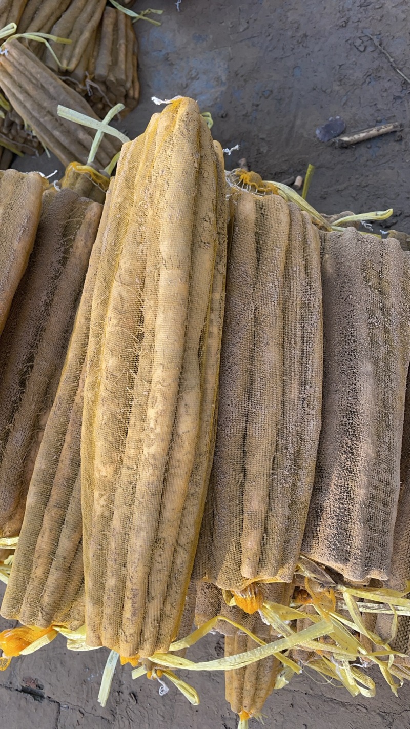 精品小白嘴白山药水洗网袋货箱货产地直发按需包装量大优惠