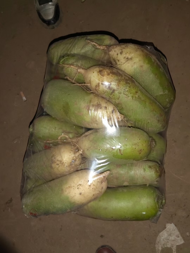 青萝卜市场货，超市，电商，加工厂货供应