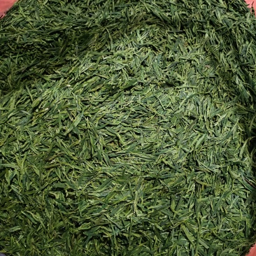 源头工厂扁茶龙井