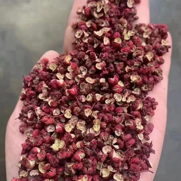 红光花椒批发