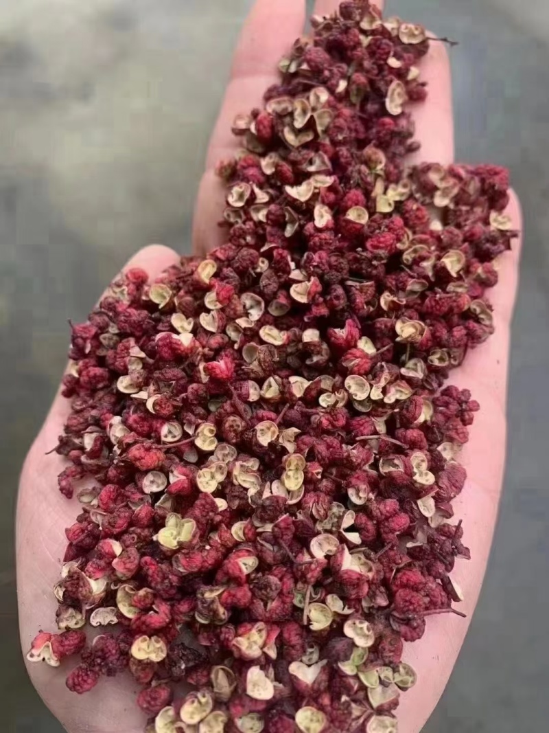 红光花椒批发