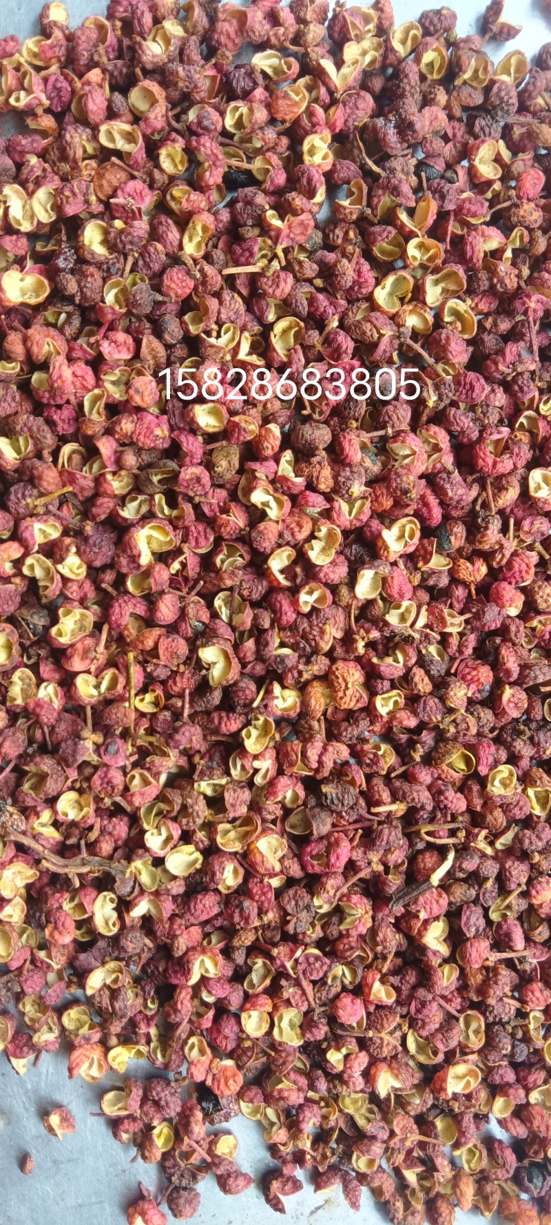 红光花椒批发