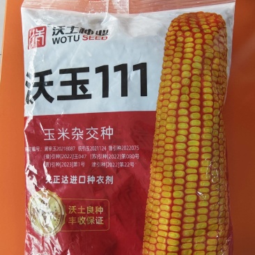 沃玉111号玉米种子国审正品红轴大棒玉米种子