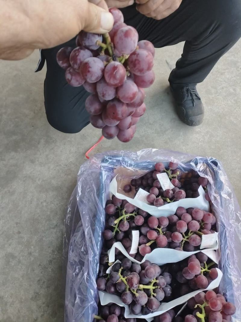 箱装巨峰葡萄