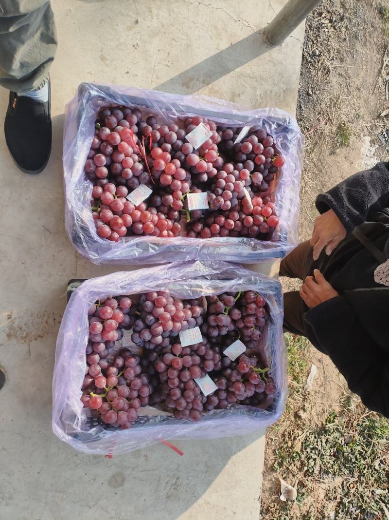 箱装巨峰葡萄