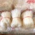 正宗宝鸡粉丝凉菜店火锅麻辣烫汤煮花甲酸辣粉厂家直销