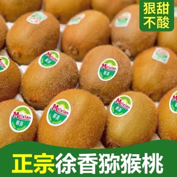 【徐香猕猴桃】货源稳定量大价优价格美丽对接全国各级批发商