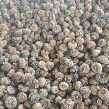 刺梨干果果脯