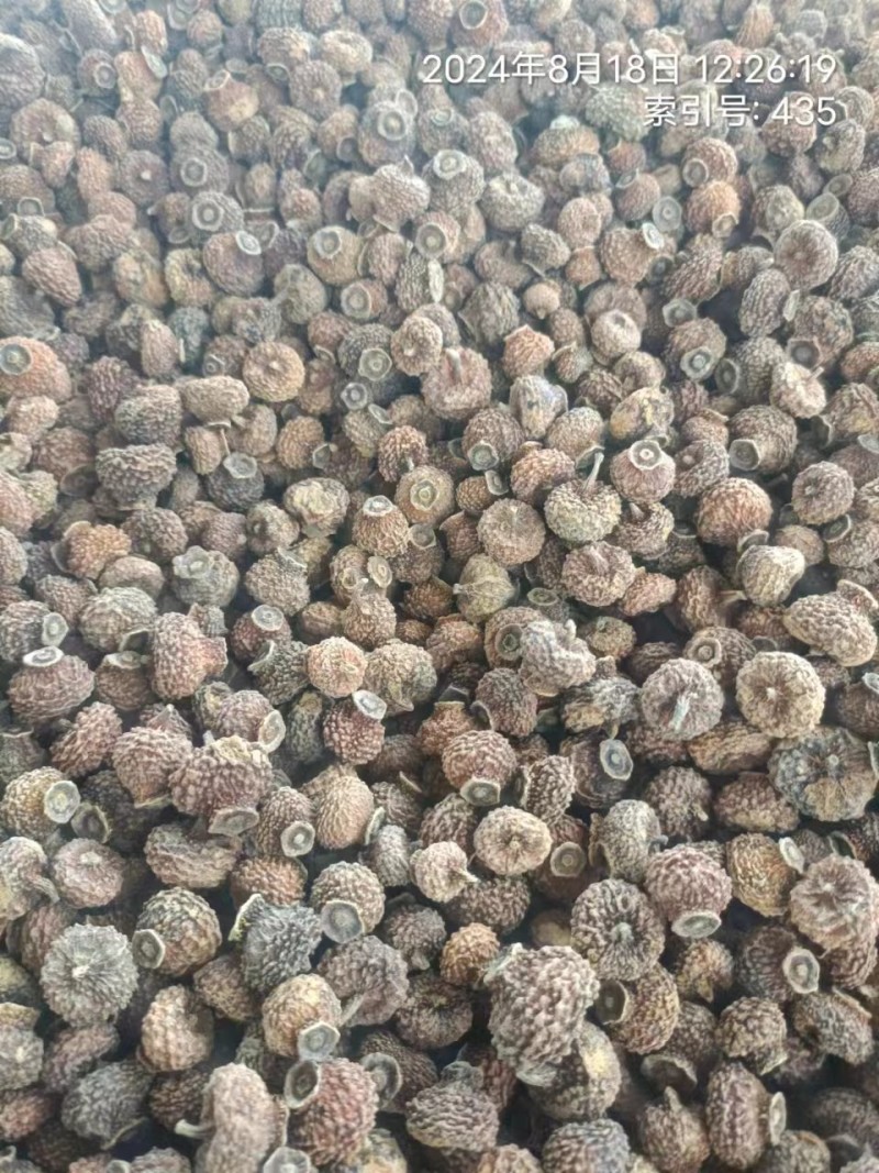 刺梨干果果脯