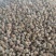 刺梨干果果脯