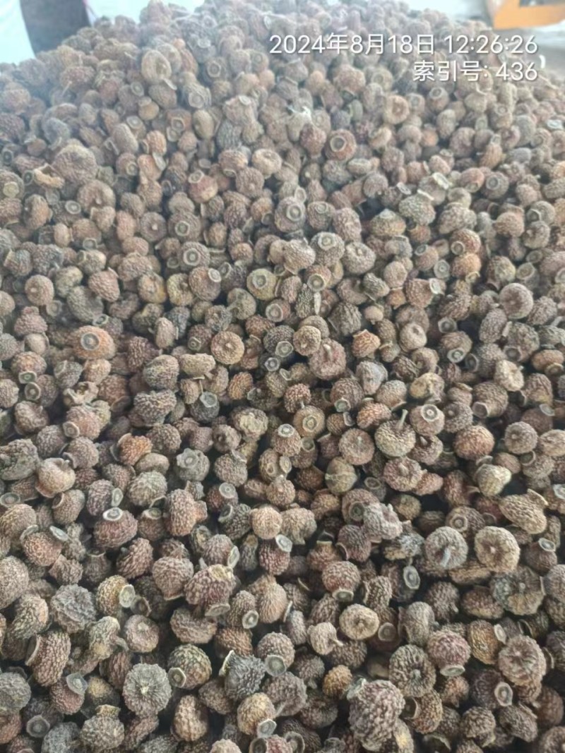 刺梨干果果脯