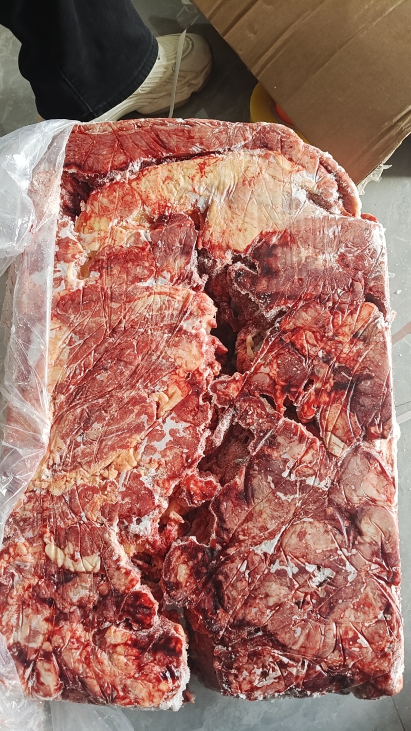 牛前