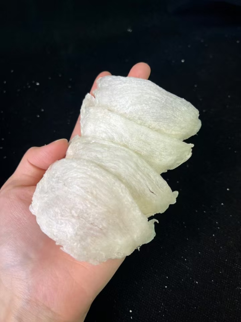 oval圆盏，超低价，500克4500元