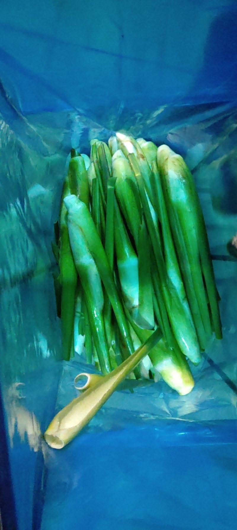 尾期现割茭白，白度好，耐存储