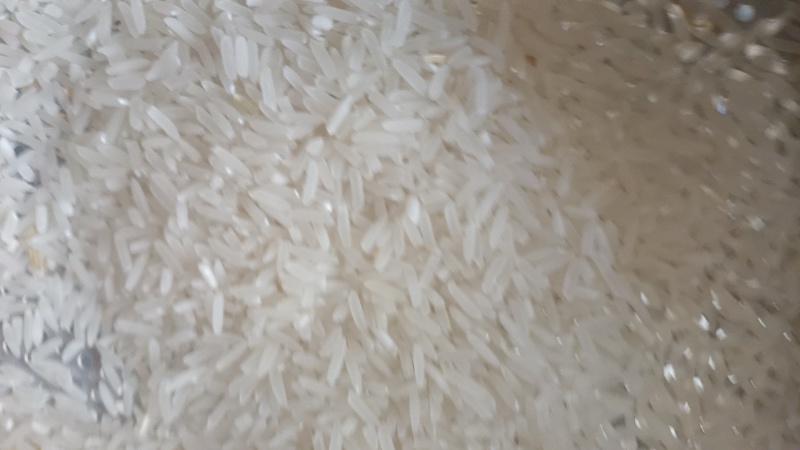 常年销售各种优质稻谷补裤粮，全国各地销售