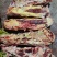 【牛胸骨】当地草原黄牛肉小胸叉，有肉有筋带脆骨，袋装