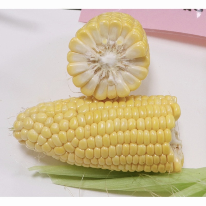 申科甜811甜玉米种子早熟大棒水果玉米种子生吃鲜食玉米种