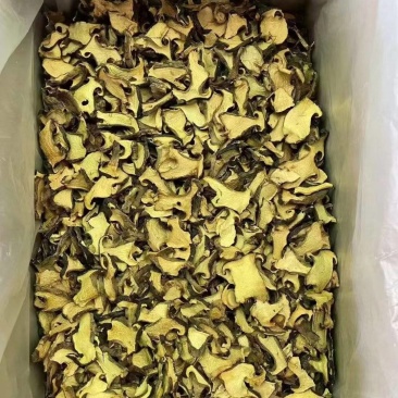 云南精品黑牛肝菌