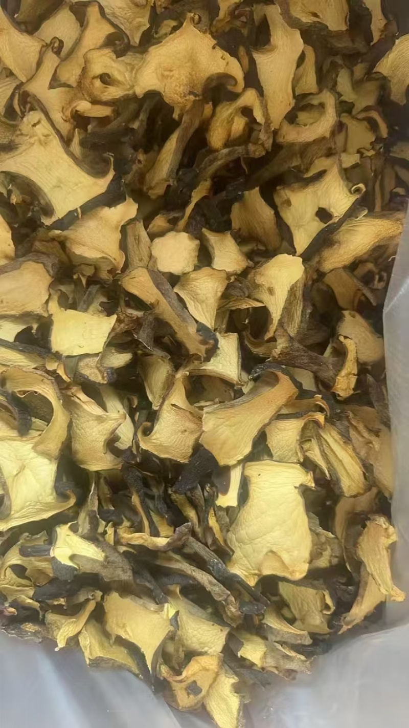 云南精品黑牛肝菌